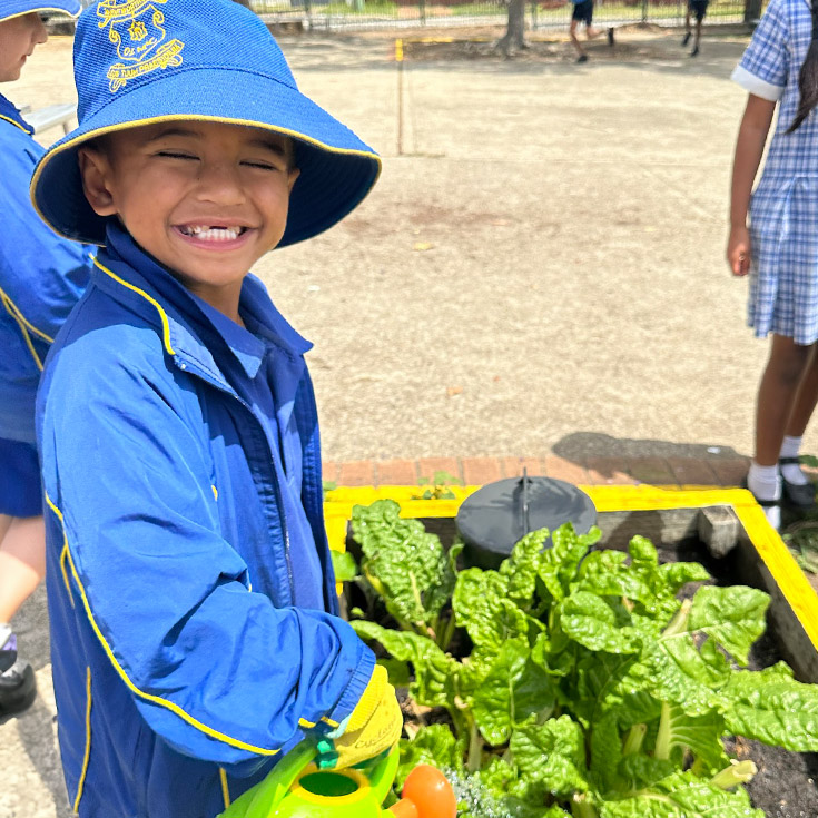 Student tending to the school garden at Our Lady of Mount Carmel Primary School Wentworthville