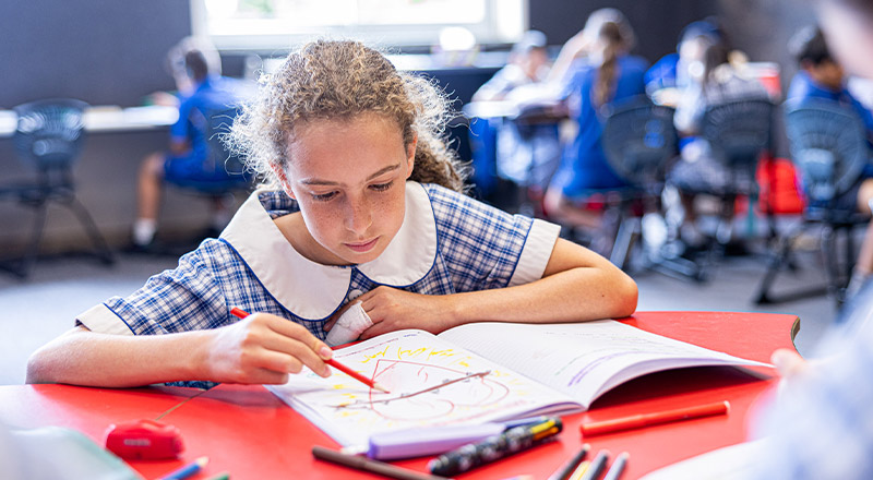 Student drawing in her workbook at Our Lady of Mount Carmel Primary School Wentworthville