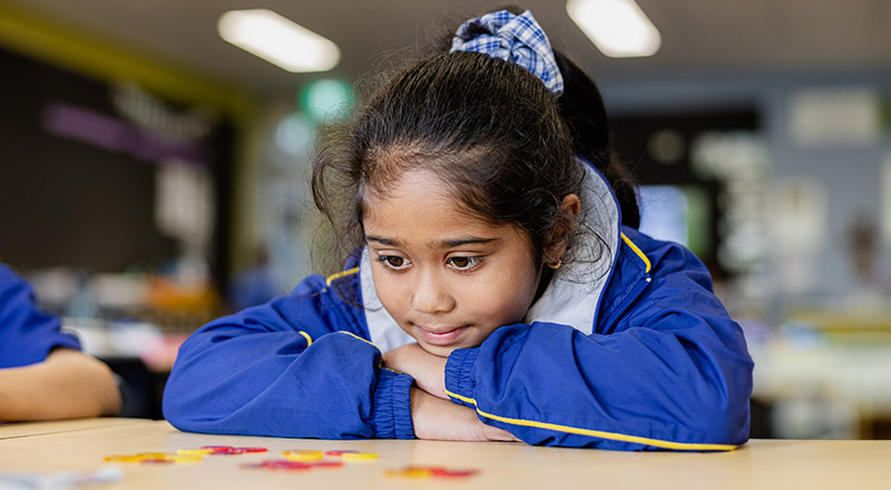 Student at her desk counting with counters at Our Lady of Mount Carmel Primary School Wentworthville