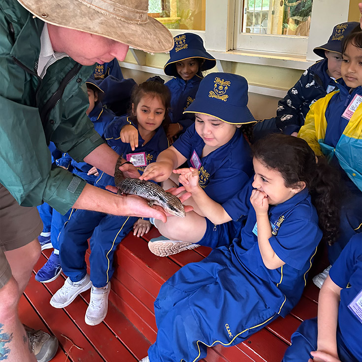 Students touching a lizard at Our Lady of Mount Carmel Primary School Wentworthville