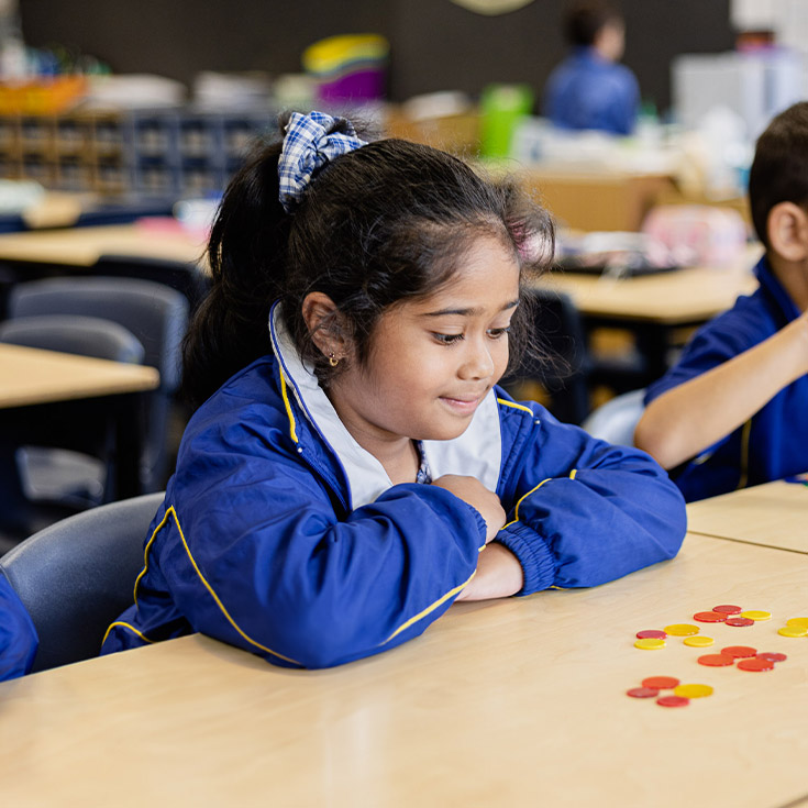 Student using counters at her desk in the classroom at Our Lady of Mount Carmel Primary School Wentworthville