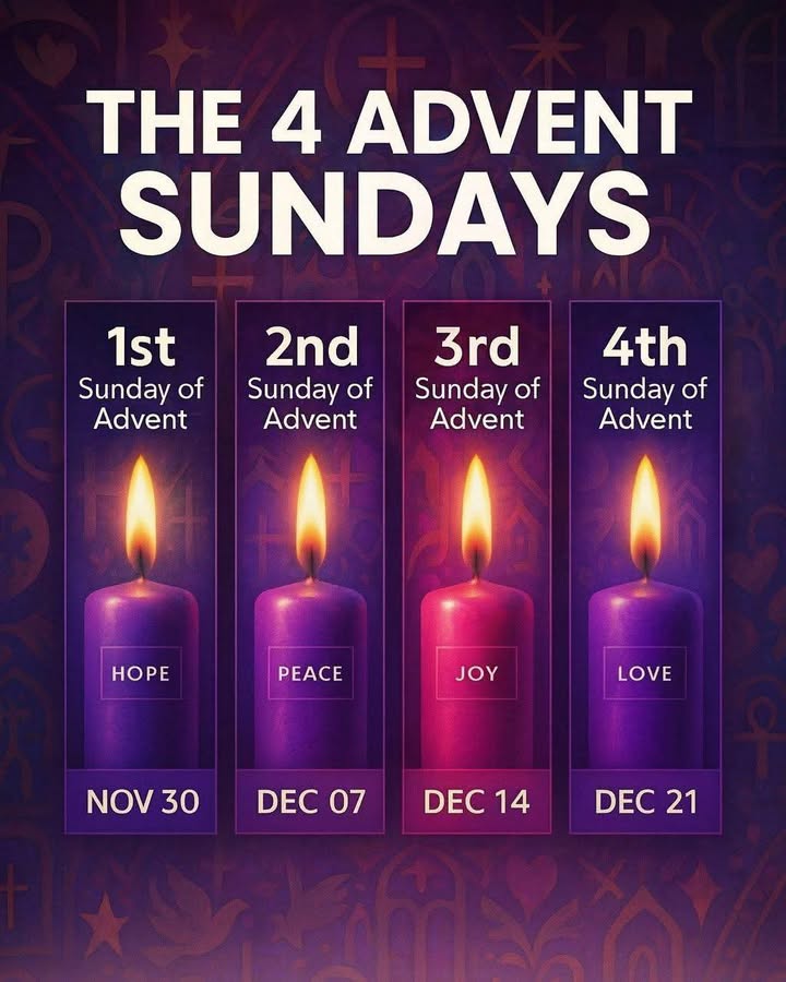 763565872230263_1369473061639538-1